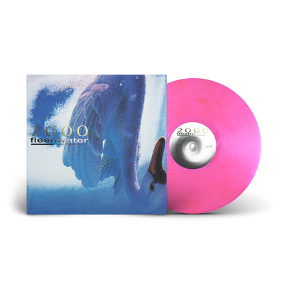 CD Shop - FLESHWATER 2000: IN SEARCH OF THE...