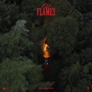 CD Shop - LA ROUX OLD FLAMES