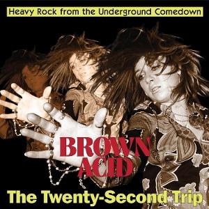 CD Shop - VARIOUS ARTISTS BROWN ACID: THE 22 TRIP