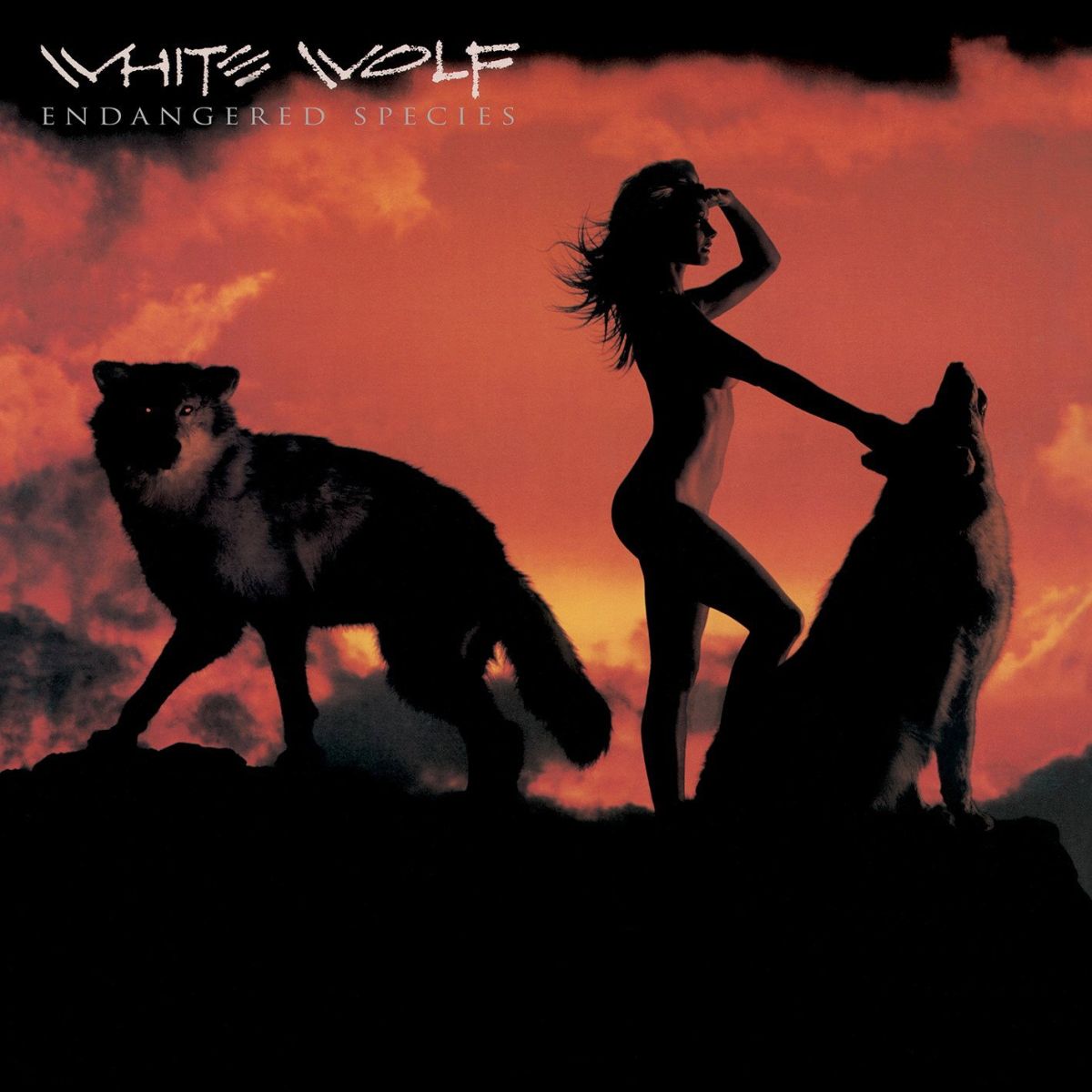 CD Shop - WHITE WOLF ENDANGERED SPECIES