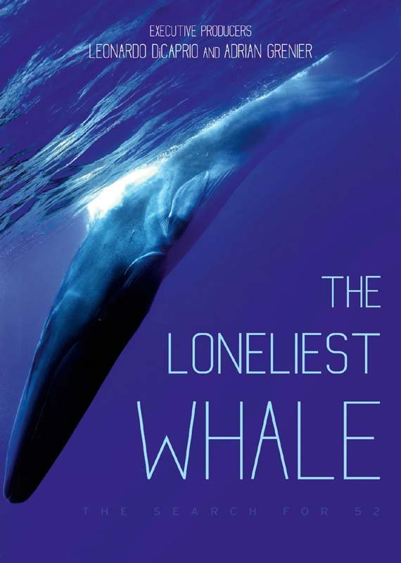 CD Shop -  LONELIEST WHALE - THE ...