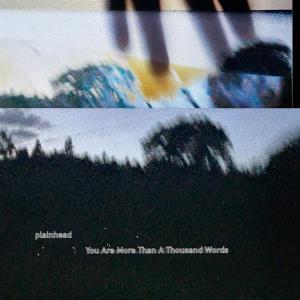CD Shop - PLAINHEAD YOU ARE MORE THAN A TH...