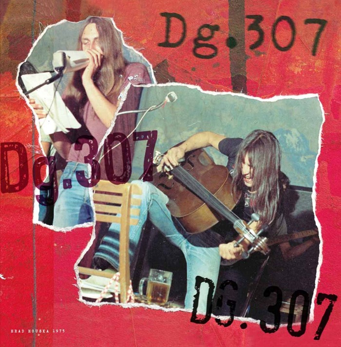 CD Shop - DG 307 HOUSKA 1975