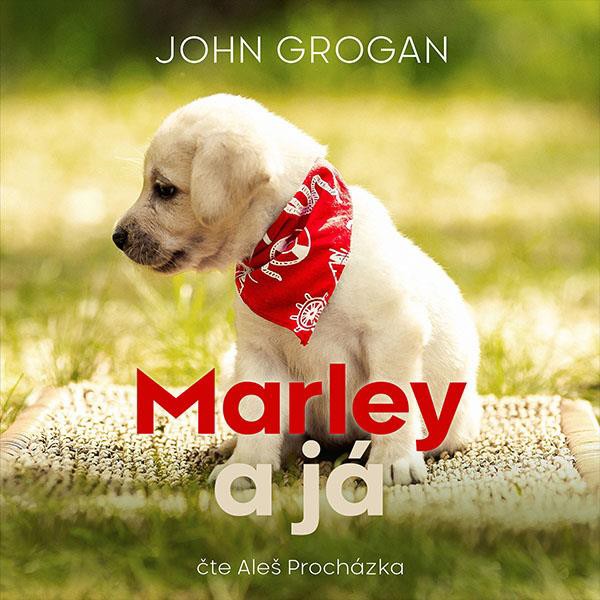 CD Shop - PROCHAZKA ALES GROGAN: MARLEY A JA (MP3-CD)
