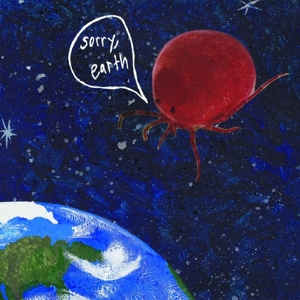 CD Shop - WILD WILD GEESE SORRY EARTH