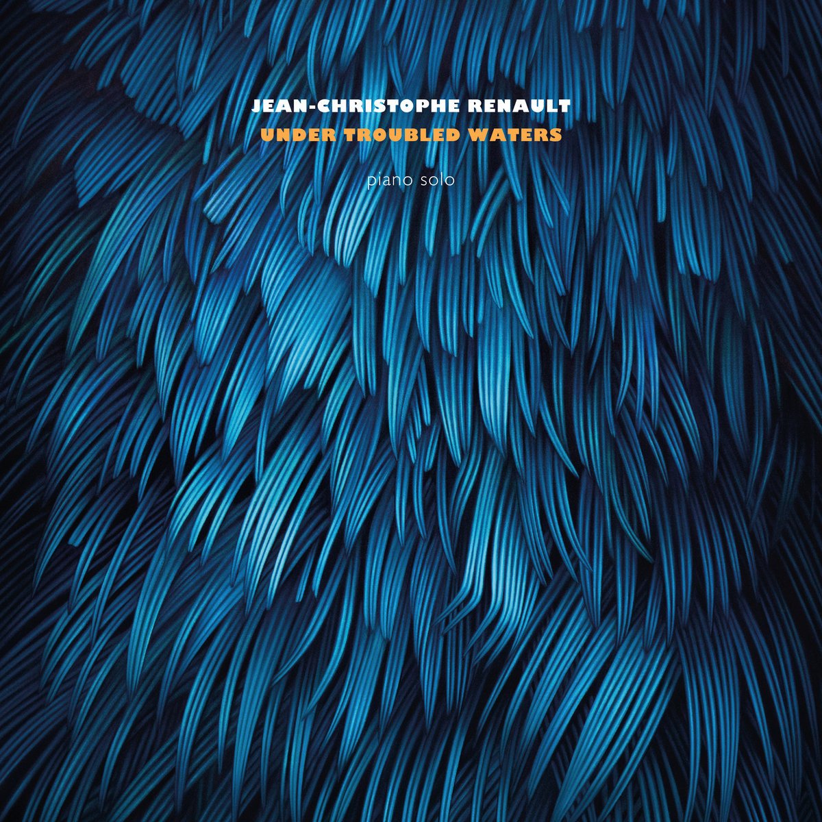 CD Shop - JEAN-CHRISTOPHE RENAULT UNDER TROUBLED WATERS