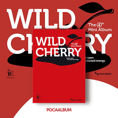 CD Shop - ICHILLIN\