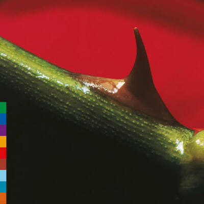 CD Shop - NUSRAT FATEH ALI KHAN & MICHAEL BROOK - 