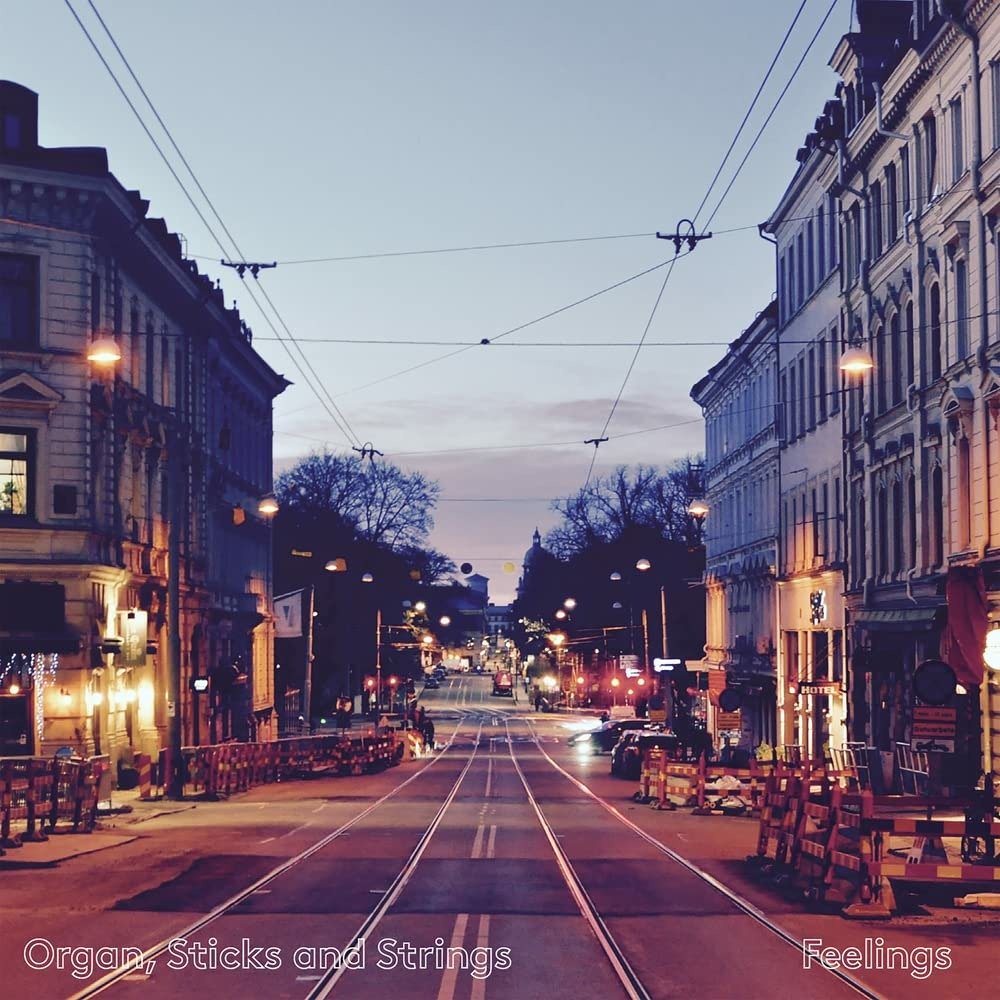 CD Shop - STICKS & STRINGS ORGAN FEELINGS