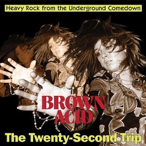 CD Shop - VARIOUS ARTISTS BROWN ACID: THE 22 TRIP