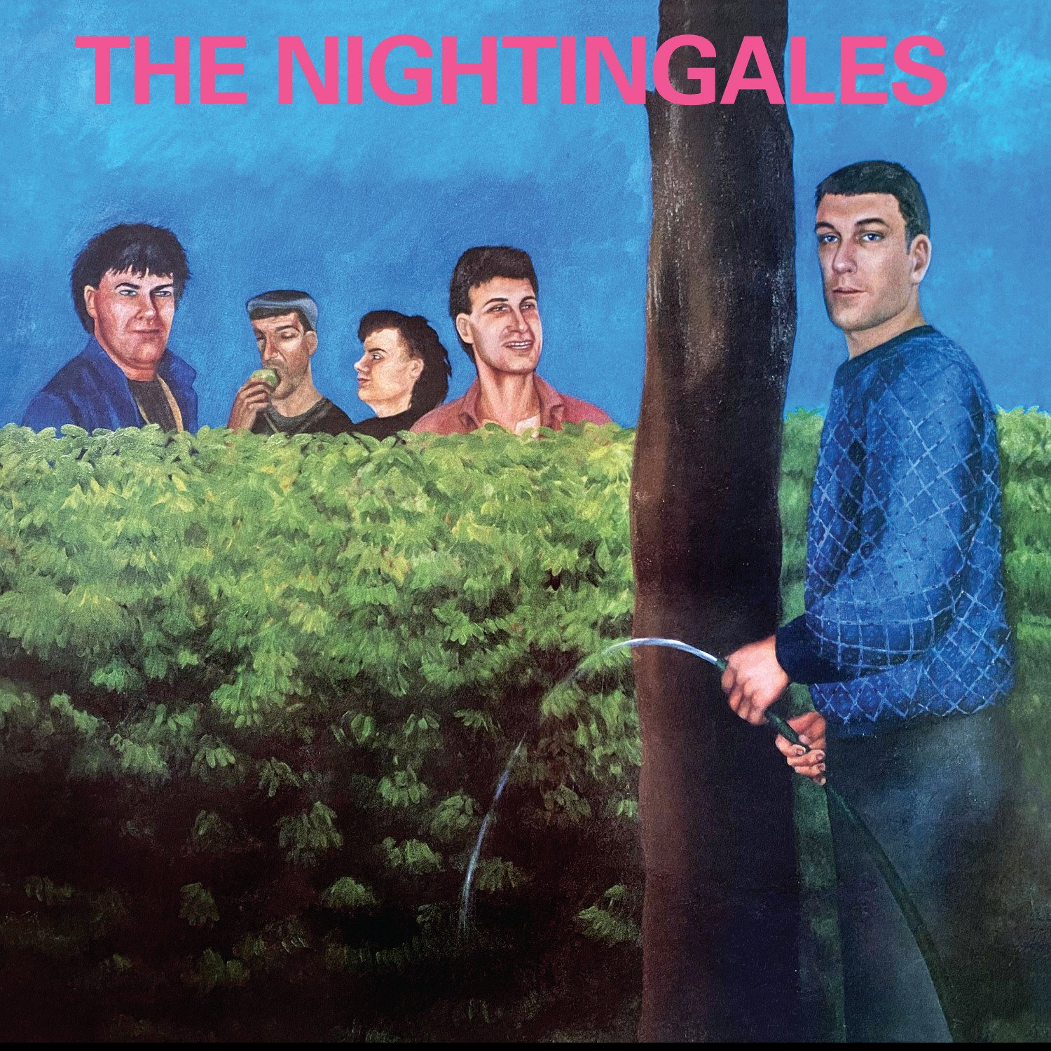 CD Shop - NIGHTINGALES IN THE GOOD OLD COUNTR...