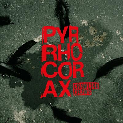 CD Shop - CRAWLING CROWS PYRRHOCORAX