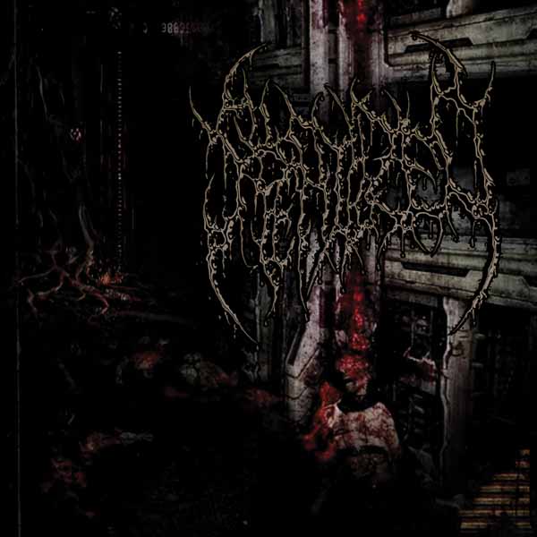 CD Shop - STERILIZED MANGLED BIOMECHANICAL AMALGATIONS