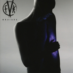 CD Shop - FEARLESS VAMPIRE KILLERS BRUISES