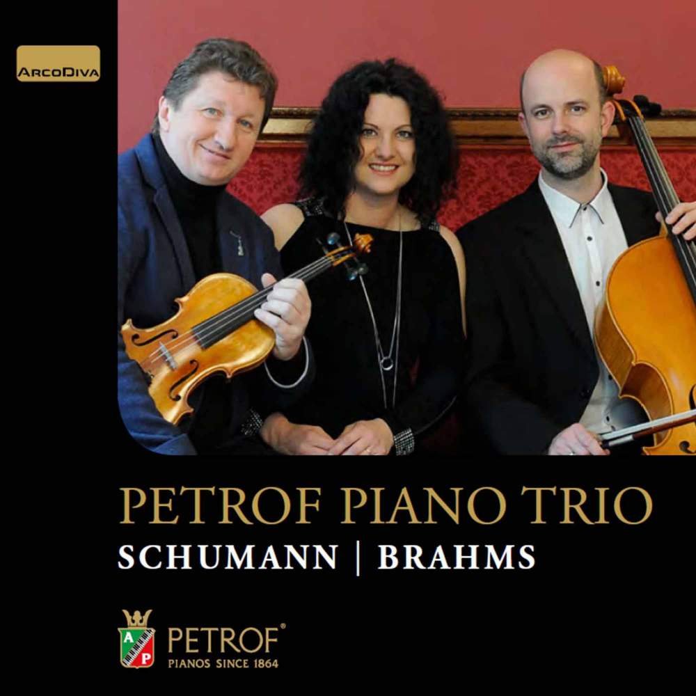 CD Shop - SCHUMANN / BRAHMS PIANO