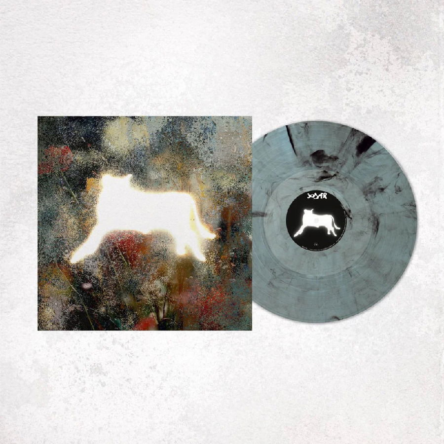 CD Shop - JOYER ON THE OTHER END OF TH...