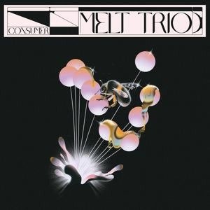 CD Shop - MELT TRIO CONSUMER