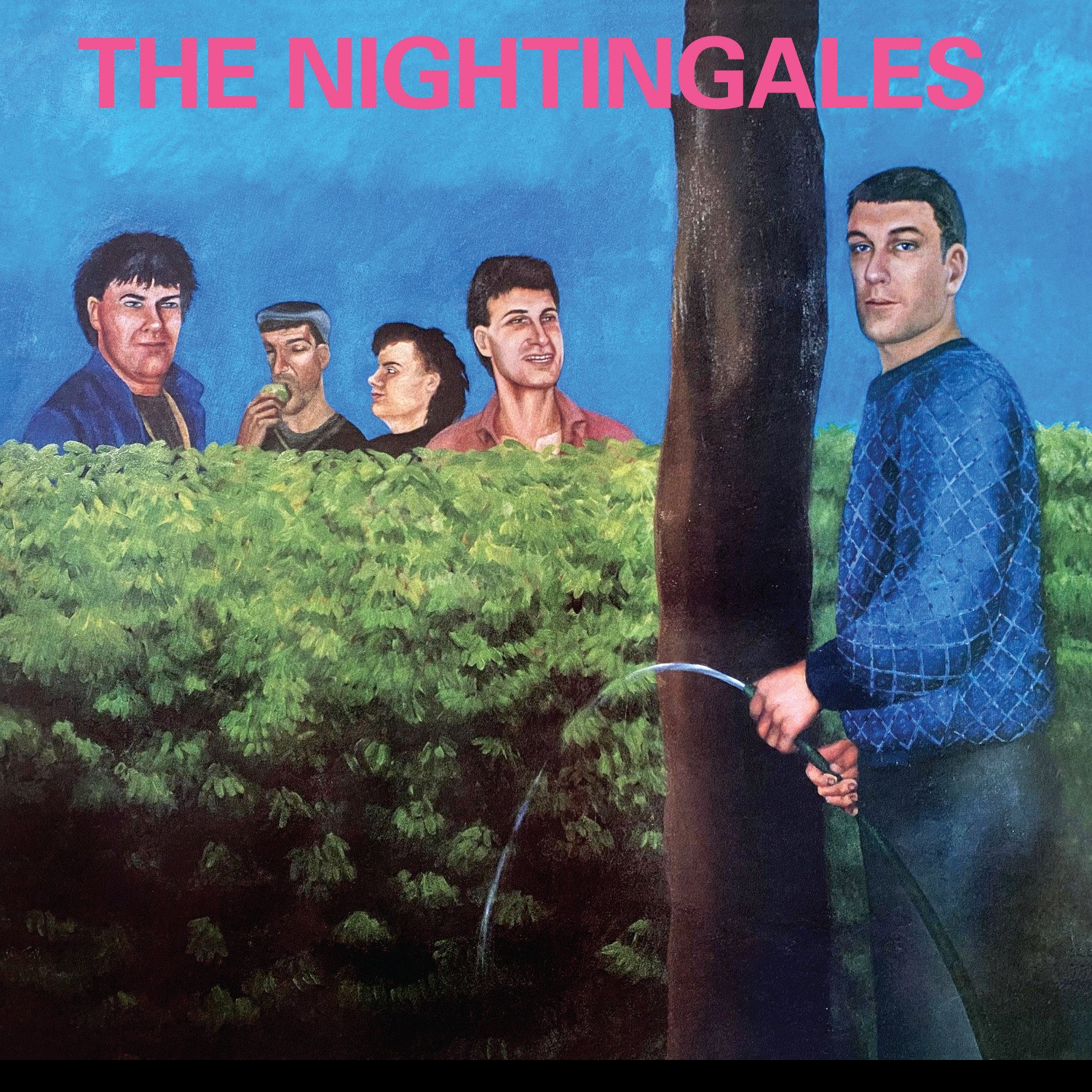 CD Shop - NIGHTINGALES IN THE GOOD OLD COUNTR...