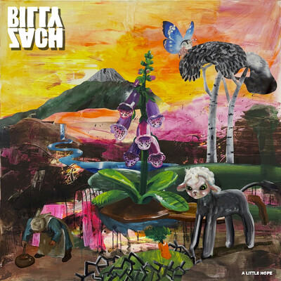 CD Shop - BILLY ZACH A LITTLE HOPE LTD.