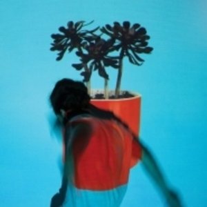CD Shop - LOCAL NATIVES SUNLIT YOUTH