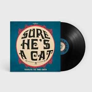 CD Shop - SURE HE\