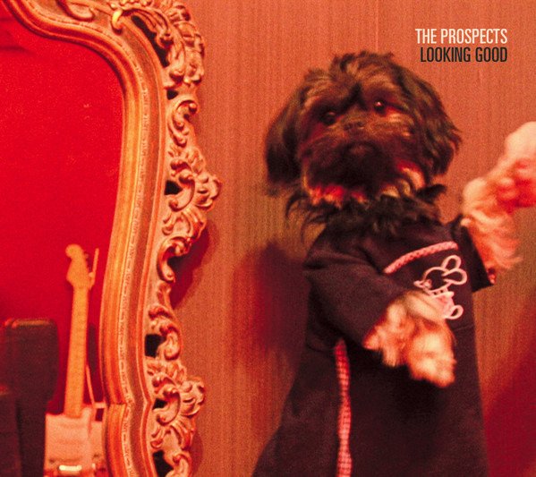 CD Shop - THE PROSPECTS LOOKING GOOD
