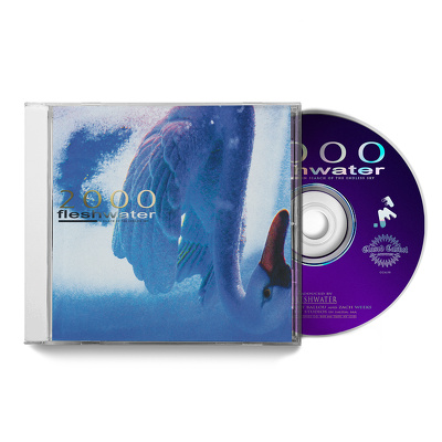 CD Shop - FLESHWATER 2000: IN SEARCH OF THE...