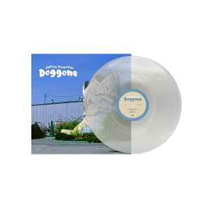 CD Shop - JEFFREY SILVERSTEIN DOGGONE