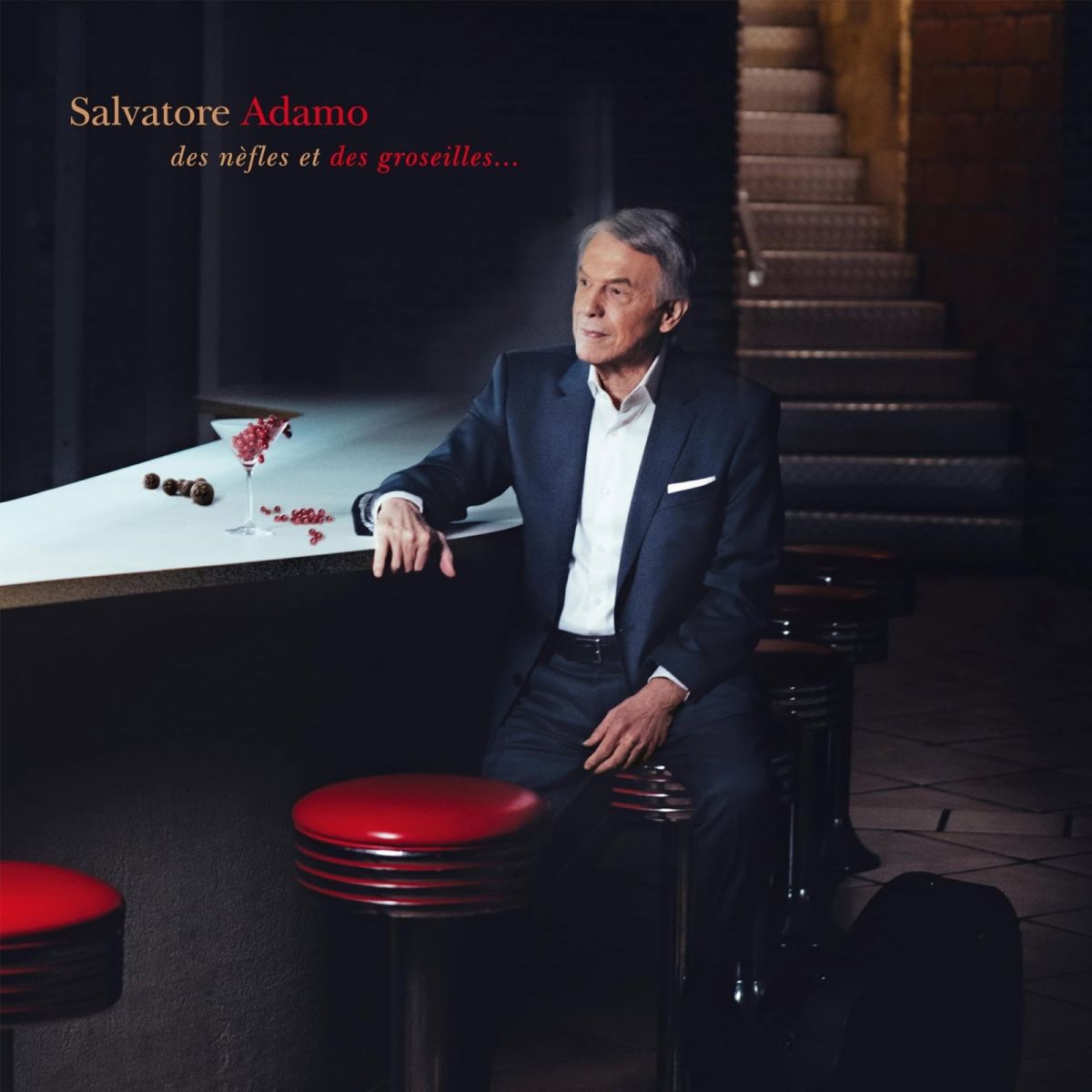 CD Shop - SALVATORE ADAMO DES NEFLES ET DES GROS...