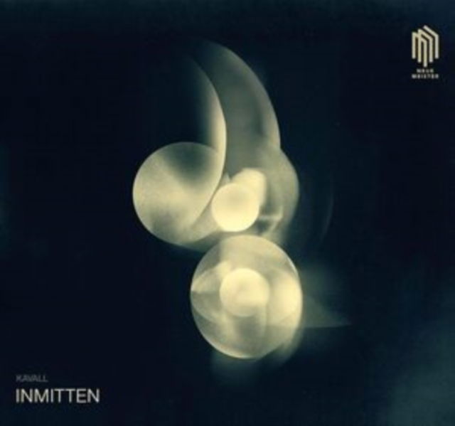 CD Shop - FERDINAND KAVALL INMITTEN