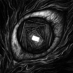 CD Shop - CARPE NOCTUM VITRUN