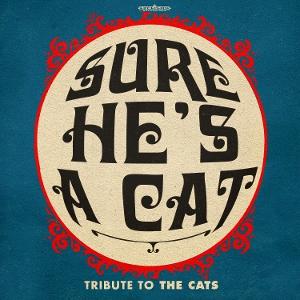 CD Shop - SURE HE\