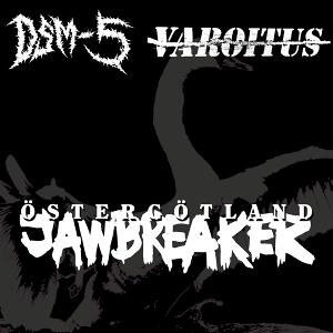 CD Shop - DSM-5,VAROITUS SPLIT