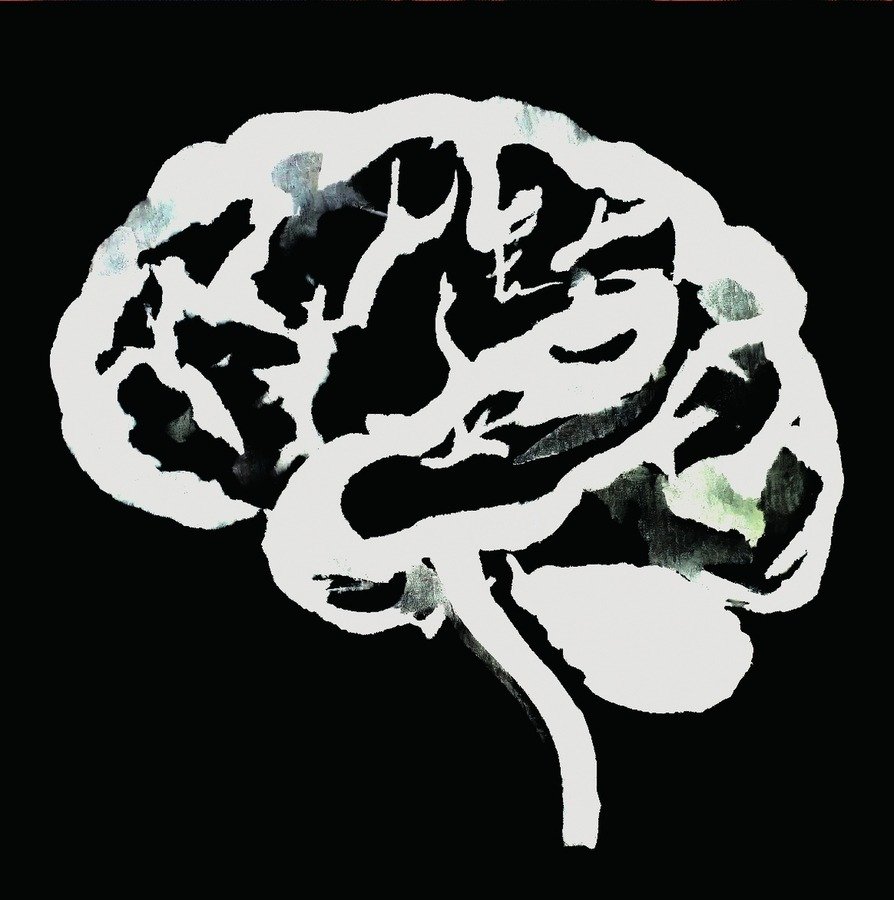 CD Shop - RUINS BRAIN FLAKES