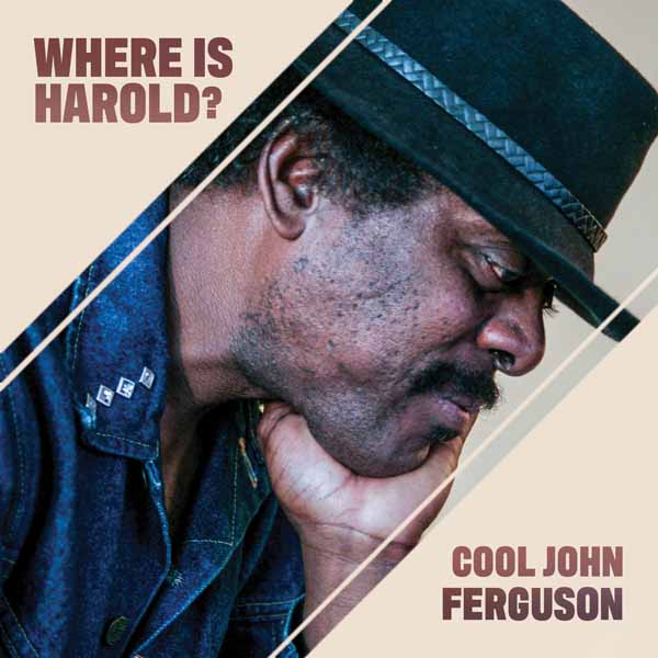 CD Shop - COOL JOHN FERGUSON WHERE IS HAROLD?