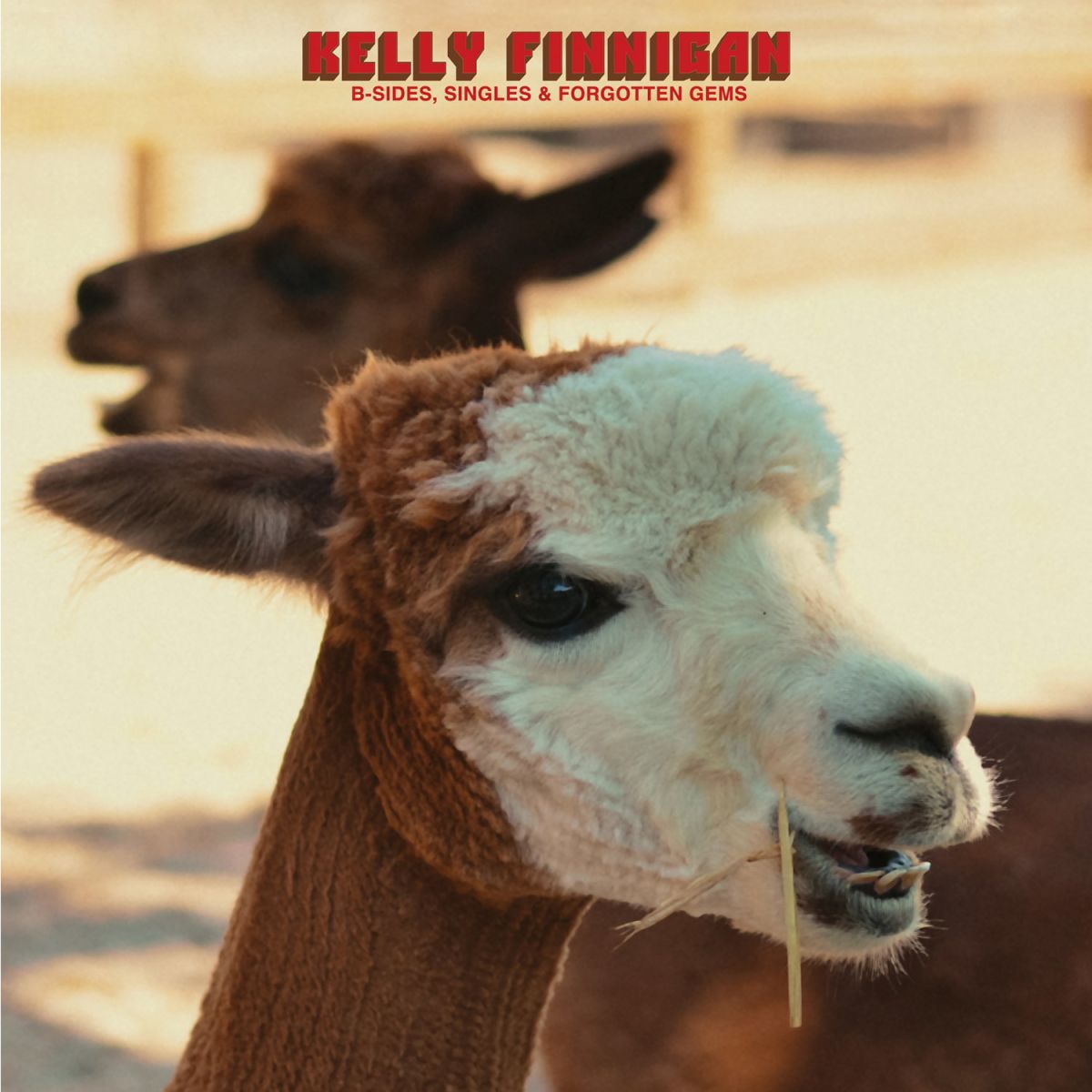 CD Shop - KELLY FINNIGAN B-SIDES, SINGLES &...