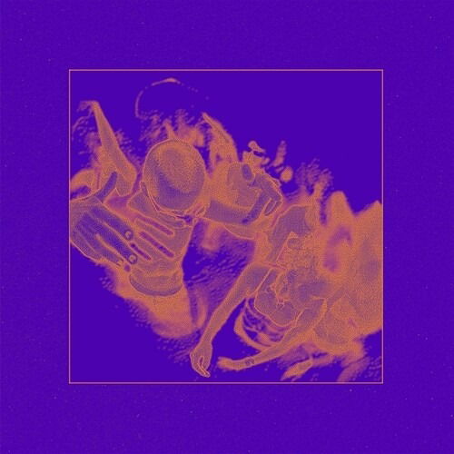 CD Shop - GOLDIE B WHO SAYS NIGHT S FOR S...