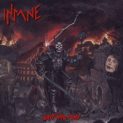 CD Shop - THE INSANE WAIT AND PRAY