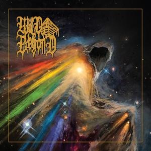 CD Shop - WILD BEYOND WILD BEYOND