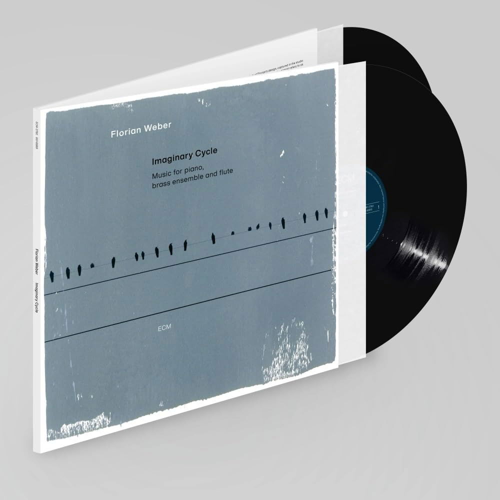 CD Shop - FLORIAN WEBER IMAGINARY CYCLE