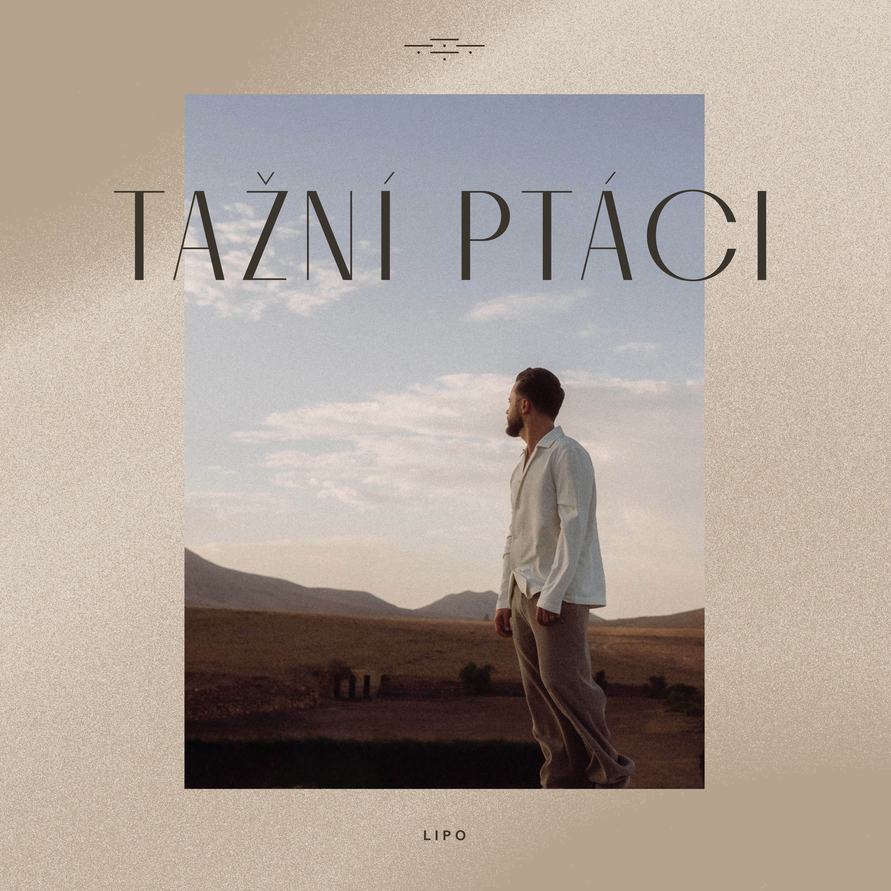 CD Shop - LIPO TAZNI PTACI