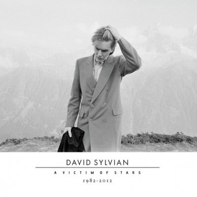 CD Shop - SYLVIAN DAVID VICTIM OF STARS 8212/ST