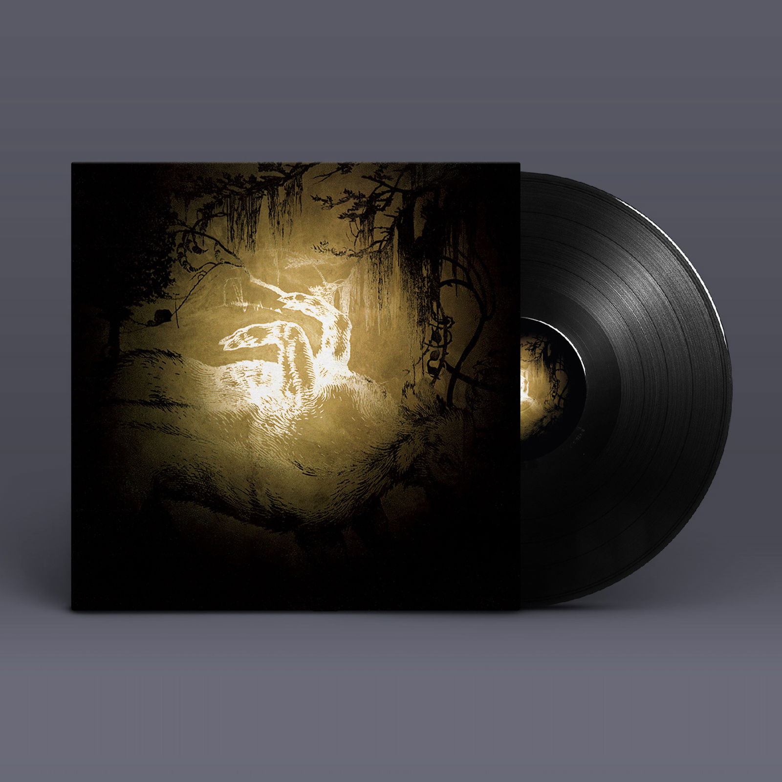 CD Shop - POLAR BEAR HELD ON THE TIPS OF FI...