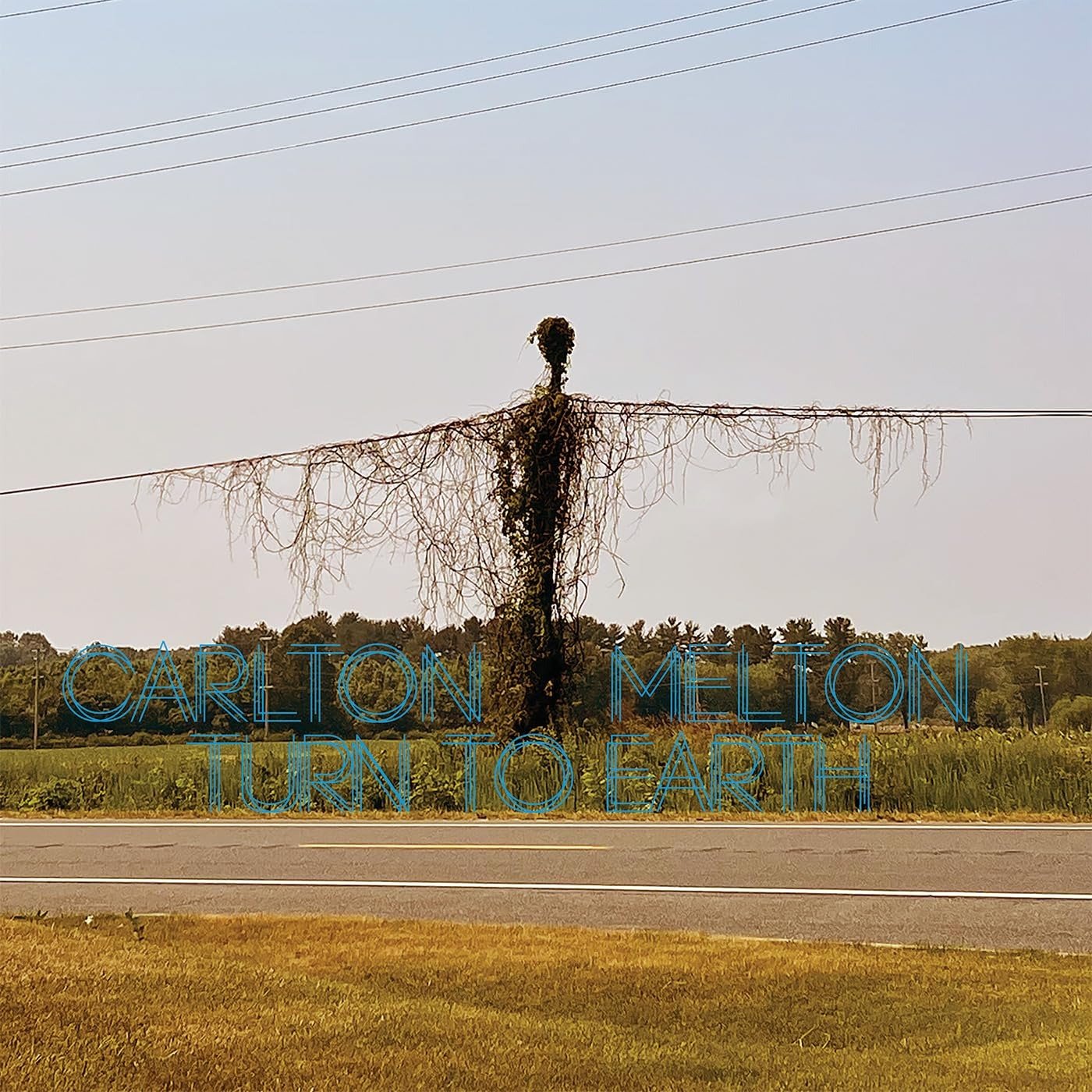 CD Shop - CARLTON MELTON TURN TO EARTH