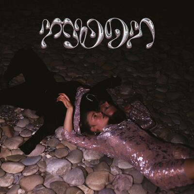 CD Shop - FLEEB MOON