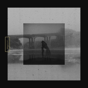 CD Shop - BRAILLE MUTE SWAN