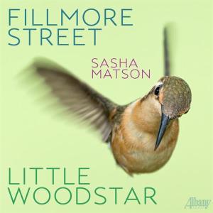 CD Shop - SASHA MATSON FILLMORE STREET / LITT...