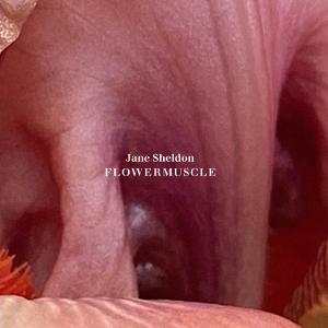 CD Shop - JANE SHELDON FLOWERMUSCLE