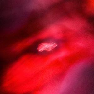 CD Shop - SIAVASH -& SAFFRONKEIRA- AMINI FADED ORBIT