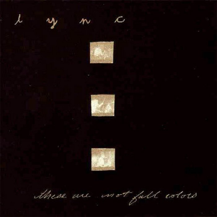 CD Shop - LYNC THESE ARE NOT FALL COVERS